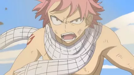 Fairy Tail 1x8